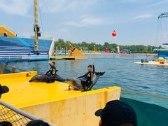 -秦皇岛乐岛海洋王国