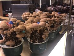 -捞王锅物料理(上海世茂广场店)