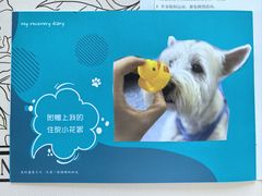 -美联众合动物医院·24h转诊中心
