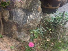 -湖南别院·美学庭院餐厅(惠阳店)