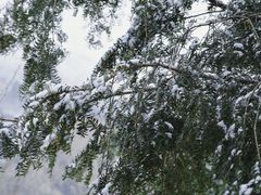 -浙西天池-售票处