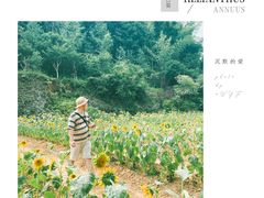 -常德桃花源景区