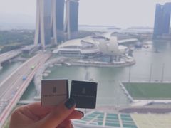 -新加坡丽思卡尔顿美年酒店
