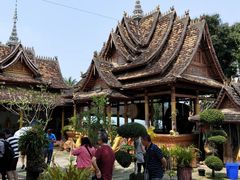 -西双版纳原始森林公园
