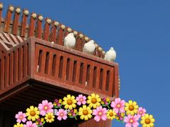 -南宫五洲植物乐园