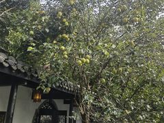 -三河古镇-孙立人故居