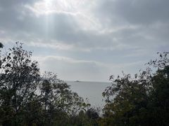 -贡湖湾湿地公园