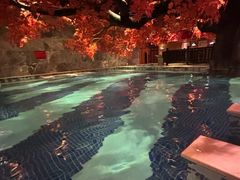-寻梦盛唐主题水会(龙岗店)
