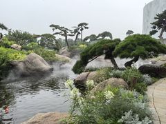 -罗红摄影艺术馆