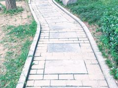 -木塔寺遗址生态公园