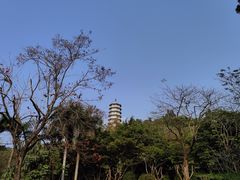 -深圳国际园林花卉博览园