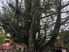 -The Zone Duty Free Shop