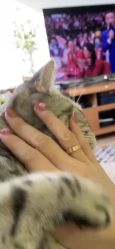 -U3美甲