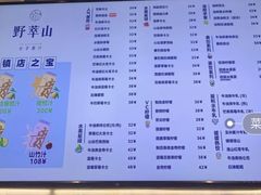 -野萃山·潮汕厚果汁(十亩地店)