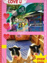 -萌宠亲子动物乐园(槐房万达店)