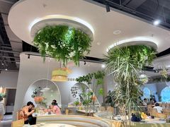 -花菇朵 ll 野生菌火锅·精品云南菜(后沙峪店)