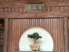 -长鹿旅游休博园