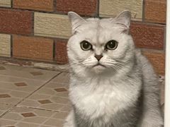 -荔康动物医院(康王北路店)