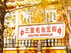 -三里屯东五街银杏大道