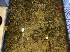 -雅逸居海鲜小厨