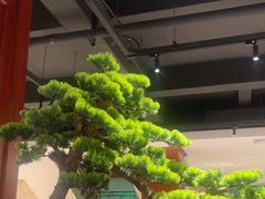 -葛记红焖羊肉(人民路店)