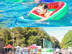 -玉苍山国家森林公园