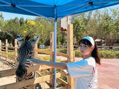 -水上乐园·欢乐世界