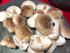 手剪香菇-谭鸭血老火锅(万象九宜城店)