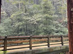 -青城山