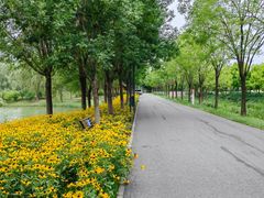 -东郊湿地公园