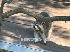 -西霞口神雕山野生动物世界