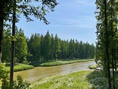 -黄海国家森林公园