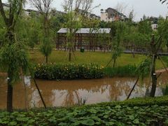 -沐仙湖湿地公园