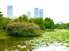 -艾溪湖湿地公园