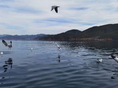 -丽江泸沽湖景区