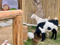 -台山颐和温泉城