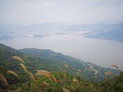 -花竹村