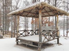 -庙香山滑雪场