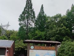 -遂昌金矿国家矿山公园