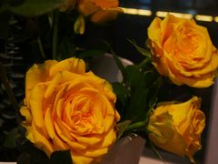 -花·fleur古董西餐厅(西城夜未央店)