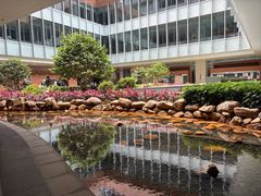 -香港大学