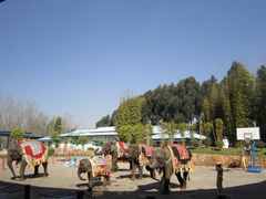 -云南民族村