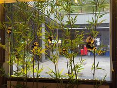 -蓉城小馆(科兴店)