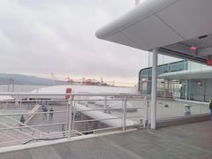 -飞跃加拿大