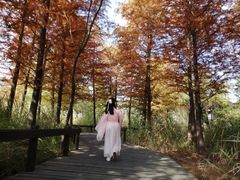 -梁鸿国家湿地公园