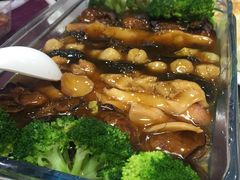 包罗万象-品鱼庄酒家(新世界大酒店店)