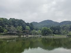 -广州市帽峰山景区