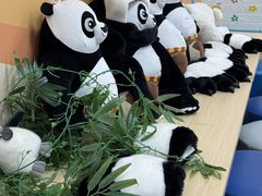 -瑞思少儿中心·少儿英语素养启蒙(勒泰直营校区)