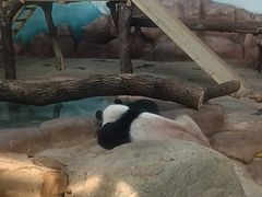 -南宁市动物园