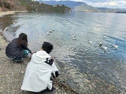 -小红帽摄影(丽江店)